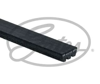 GATES-IS00 Kanallı Kayış R19-mgn-clıo-exp-palıo