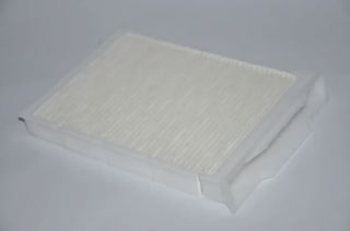 NTS Megane 2 Polen Filtre