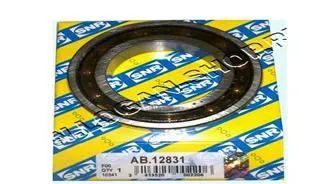 SNR-IS00 Defransiyel Rulmanı Küçük R9-r11-saxo-p106 I-ıı-logan X